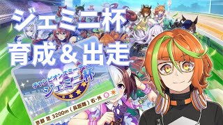 【ウマ娘】ジェミニ杯決勝ラウンドAグループエントリー