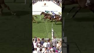 Horse jumps over winning line! #horse #horseracing #racingtv #sport #britishhorseracing