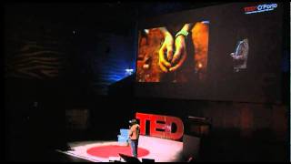 TEDxO'Porto - GMB Akash - Survivors