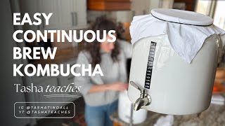 How to Manage Continuous Brew Kombucha | Includes Second Ferment Tips