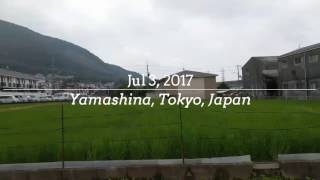 Another Yamashina riverside breakfast ~ Vlog 20170703