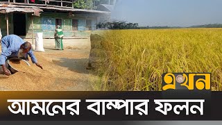 ধানের ভালো দাম পাওয়ায় খুশি কৃষকরা | Jhalokati News | Rice | Ekhon TV