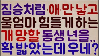 [도랏?ㅋㅋㅋㅋ] 대책 없이 짐승처럼 ‘애’ 싸질러서 결국 우리 엄마만 힘들게 하는개 망할 동생 년을 확 밟았는데 어쭈?? 처 우네??ㅋㅋ