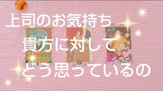 リクエストリーディング🌟上司さんのお気持ち🍀貴方に対してどう思っているの🌟タロット占い🔮三択🌼