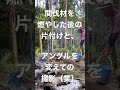 耕作放棄地や、荒れた山、竹林の整備の際、条例に従って野焼きをしたら、後始末まで入念にしましょう。山火事にならないように。チェンソーの取り扱いにも注意しましょう。