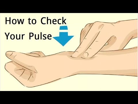 How to Check Your Pulse Rate Manually | Check Your High Pulse Rate Quickly How to Check Your Pulse Rate Manually | Check Your High Pulse Rate Quickly