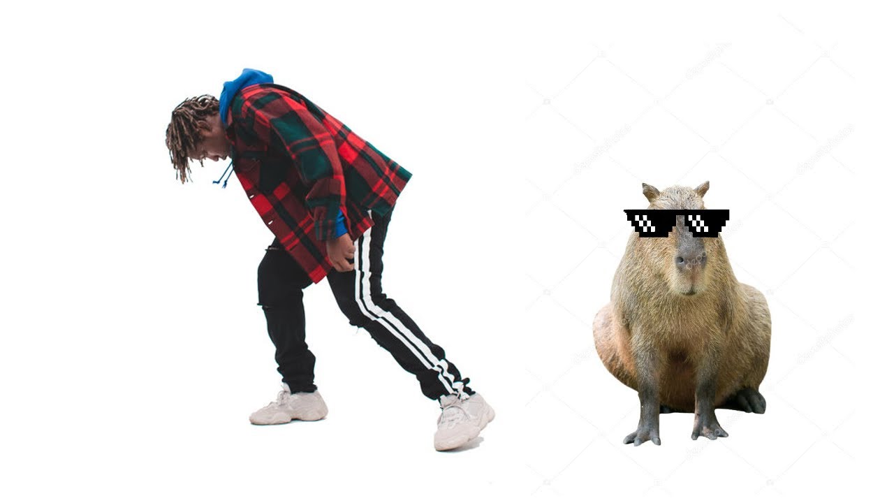 Okay I Pull Up Capybara Edition Lyric Video Youtube Music