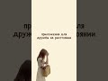 приложение для друзей на расстоянии shortvideo youtubeshorts друзья приложение