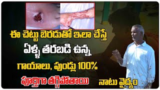 ఏళ్ళ తరబడి ఉన్న గాయాలు, పుండ్లు 100% పూర్తిగా తగ్గిపోతాయి  | Naatu Vaidhyam | Health Tree