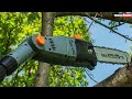 ✅ 5 best electric pole saw of 2023