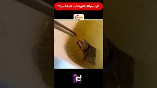 أغرب مواقف للحيوانات .. هتدهشك ج67