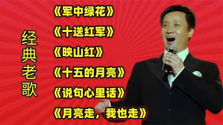 经典老歌《军中绿花》《十送红军》《映山红》《十五的月亮》