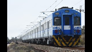 8791次/EMU400廢迴，大山北怒吼通過