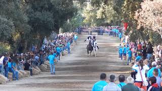 pariglie abbasanta sant'agostino  26.08.2018