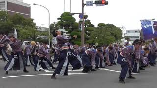 香川大学よさこい連風華よさこい演舞２０１９まるがめ婆娑羅まつりストリート東会場