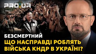 БЕЗСМЕРТНИЙ: Путін готує армію КНДР до війни з США, тренуючи її в боях з ЗСУ