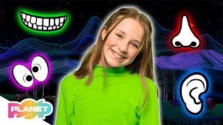 Parts Of The Face Song 👀👃👂 | English For Kids | Planet Pop | Learn English
