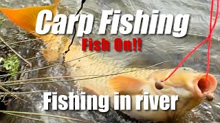 Go to fishing sakai river in Japan Aichi pref. 釣りへ行く　ーCarp Fishingー　鯉釣り　愛知県境川