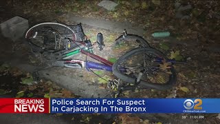 NYPD: Suspect carjacked driver, struck bicyclist in the Bronx