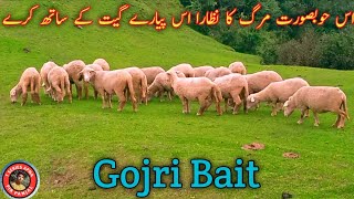 Gojri song: pahari bait pahari  mahiya 2021 pahari geet: Gojri bait Gojri geet gojri mahiya:New song