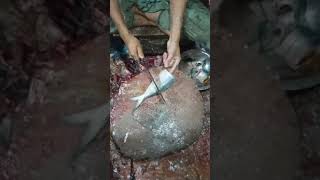 Small hilsa fish cutting skills #shorts