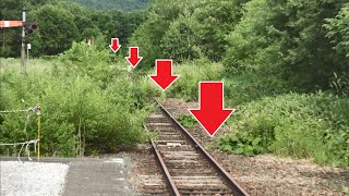 【廃線になる根室本線】幾寅駅 被災運休が続き草木が生い茂る線路軌道と錆び付いたレール