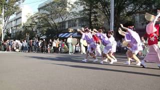 成増チルド連２０１４ 板橋区民祭り阿波踊り　輪踊り