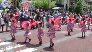 プリティキッズ （ 2015湘南よさこい ・湘南スターモール）