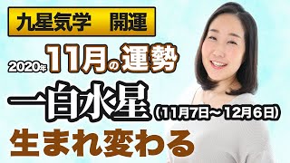 【占い】2020年11月の一白水星の運勢・九星気学【生まれ変わる】（11月７日～ 12月６日）