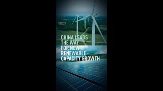 IEA: China to account for almost half of new global renewable energy additions
