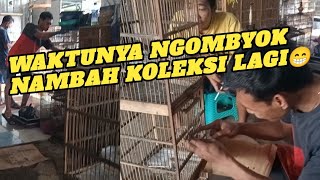 Akhirnya dapat burung inceran juga,kok tambah akeh manukku iki😅