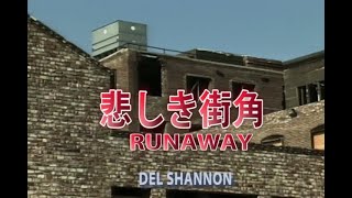 悲しき街角   /   DEL SHANNON