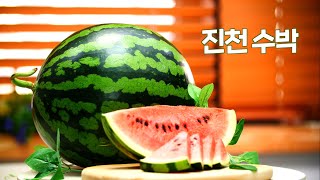 생거진천 5대 농특산물 - 수박🍉