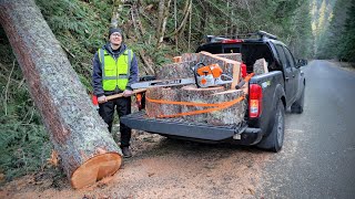 Mid-Winter Roadside Firewood Haul in the National Forest