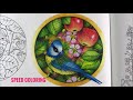 SPEED COLORING: Blue Tit & Apples Coloring // Chris Cheng
