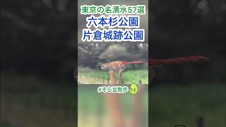 【東京の名湧水57選シリーズ】八王子六本杉公園と片倉城跡公園 #shorts