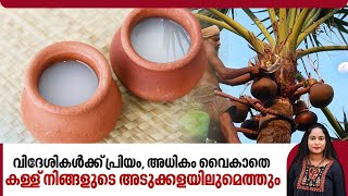 വിദേശികള്‍ക്ക് പ്രിയം, അധികം വൈകാതെ കള്ള് നിങ്ങളുടെ അടുക്കളയിലുമെത്തും | Kerala Toddy