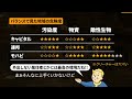 【フォールアウトが100倍楽しくなる】レイダー 徹底解説 第6章【fallout】raider