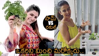 Samantha Akkineni VS Rakul Preet Urban Farming | Grow with Me Challenge  | News Buzz