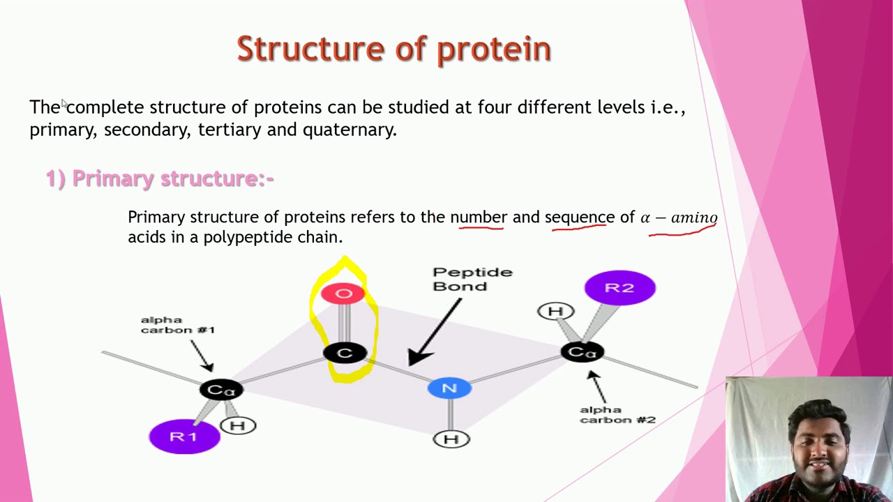 Biomolecule Part 6 Youtube