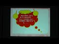 「鬼住村と鬼伝説」第1回（河内長野市立図書館youtube歴史講座）