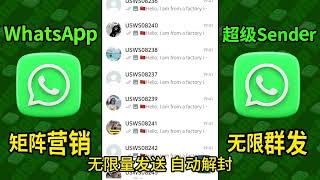 WhatsApp绿标号唯一官方认证系统支持插入超链接和定制文案无限制发送消息，自动解封机制覆盖全球，无视国家地区限制确保100%的信息送达支持测试功能以优化效果