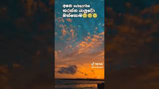 අනෙ subscribe කරන්න යාලුවො ඔක්කොම 🥹🥹🫡