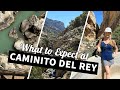 What to Expect for Your Trip to Caminito del Rey | Travel Guide