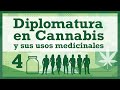 Clase 4 - Diplo Cannabis Medicinal