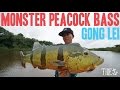 MONSTER PEACOCK BASS - Gong Lei - Tide Apparel