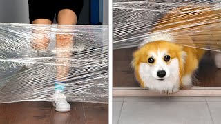 Can You Repeat Famous VIRAL TIK TOK CHALLENGE? || We Tested Viral Internet Hacks