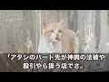 【スカッとする話】電車内で冤罪をかけられた俺「義手なので違います！！」女「嘘つくな！悔しかったら右手を持って来てみろｗ」→数時間後、俺「右手をお持ちしました」女「えっ！」