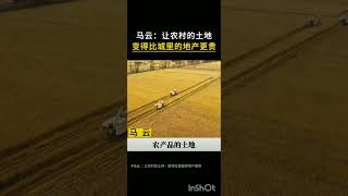 #马云 ：让农村的土地，变得比城里的地产更贵 #人生感悟 #正能量 #国学文化 #情感 #认知 #人生智慧 #现实 #现实 #感悟 #感情 #茶生活