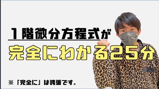 【エクストリーム微分方程式】1階微分方程式の解き方をマスター！　〜変数分離形からリッカチまで